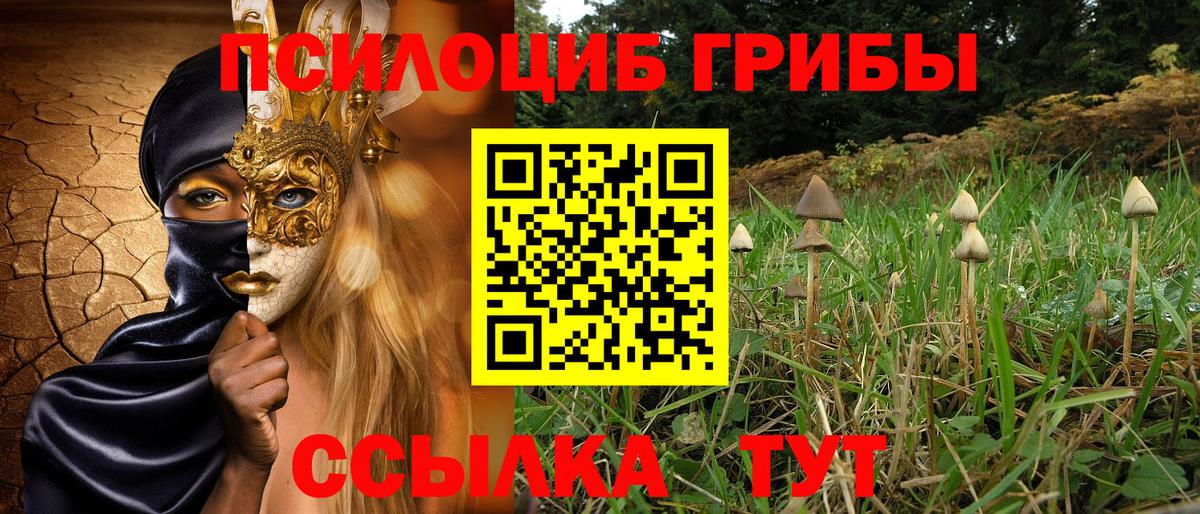 Псилоцибиновые грибы Psilocybine cubensis  Вход с VPN  Невинномысск 